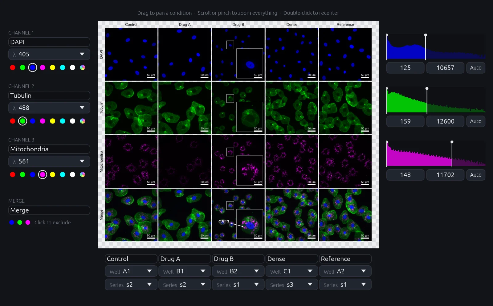 The cellernaS window: a grid of fluorescence images with five conditions across and DAPI, Tubulin, Mitochondria and a merge down, beside a histogram and display range for each channel.